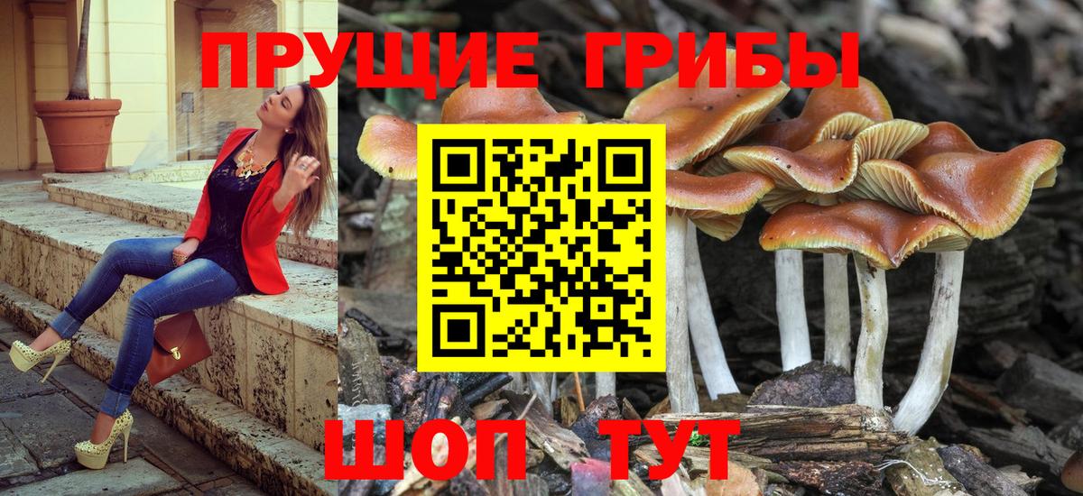 Подольск  Псилоцибиновые грибы мухоморы  Вход с VPN 